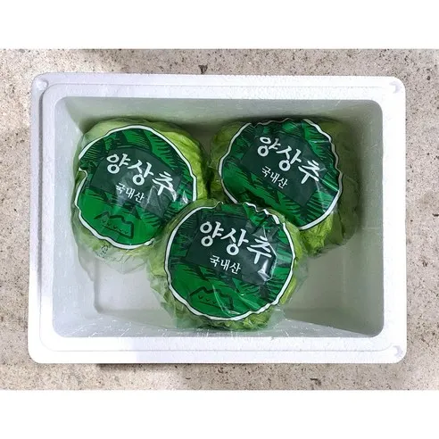 Green one 양상추 3통, 3개