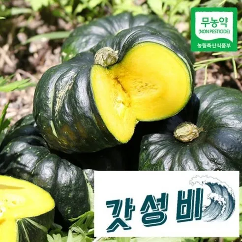 산지직송 함평 정대성님의 무농약 햇 미니단호박(밤호박) 1kg