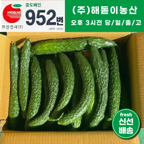 <해돋이농산> 국내산 오이 가시오이 청오이 못난이오이 3kg 5kg 10kg 내외, 3kg내외, 1개”/></a></div>
<div class=