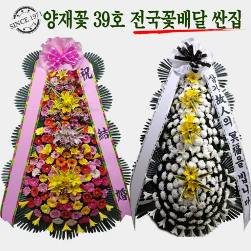 (주)꽃파는사람들 축하화환 근조화환 <전국3시간이내 화환 당일배송>“/></a></div>
<div class=