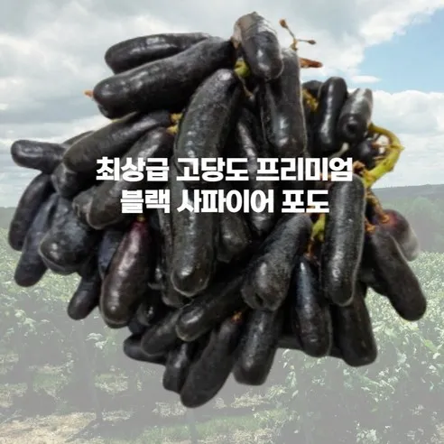 내고향농수산 블랙사파이어 포도 씨없는포도 가지포도 스윗사파이어 1kg 2kg 4kg